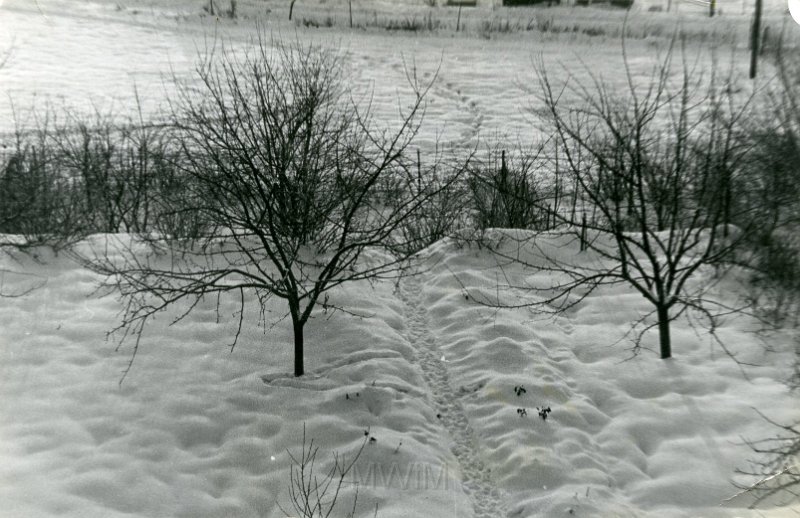 KKE 4693.jpg - Fot. Pejzaż zimowy. Nasz ogród, Olsztyn, 1972 r.